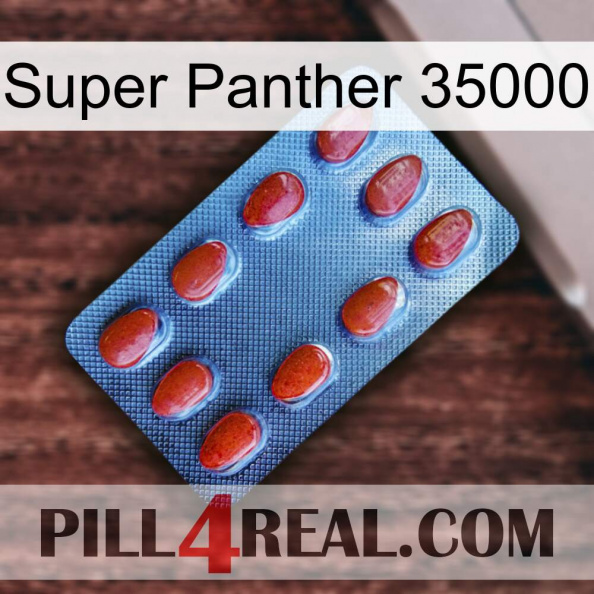 Super Panther 35000 06.jpg